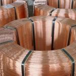3mm 6mm 8mm 10mm 16mm C72900 C11000 C12000 C10100 Pure Solid Bare Copper Wire 99