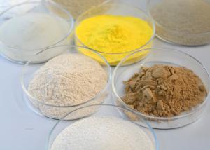 China pH Range 2.5-11.5 Fungal Lipase for Industrial Applications Powder/Liquid factory