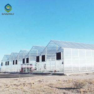 China Heat Resistance Skeleton 12m Flower Polycarbonate Greenhouse factory