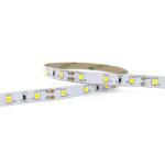 Single Color 2835 Engineering Led Light Strip 60 Lights/m Outdoor Waterproof