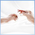 PE Disposable Gloves Disposable Food Service Gloves Disposable Polythene Gloves