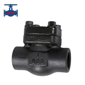 China 800LB 403 Forbidden Check Valve with Security Measure Non-Return Valve for Preventing Unauthorized Access factory