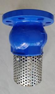 China PN10/PN16 GGG50 foot valve made in China factory