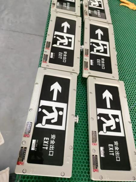 4500-6500K Emergency Flameproof Exit Light 2*3Watt 220VAC 24/36VDC Wall/Ceiling