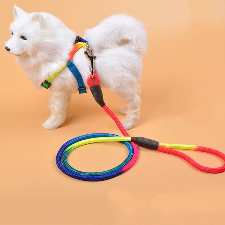 personalised dog lead