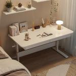 2023 CEO Office Furniture White Wooden Desk with Storage Table and Sit Standing