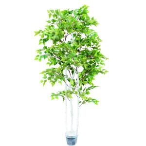 China Ornamental Plant Artificial Radermachera Sinica Natural Greening For Home Decoration factory
