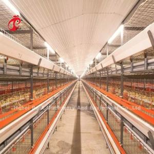 China Intelligent Poultry Battery Cage System Semi Automatic And Automatic For Broilers Iris factory