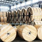 Copper Conductor LV 2X16/3X25mm2 XLPE/PVC Insulation Swa Cable for Customer