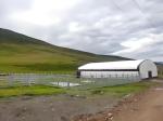 Livestock Shelter Dairy Farm Barn Custom Steel Structure Cow Shed For Live