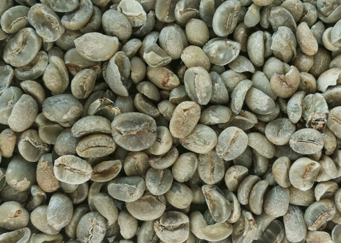 Hons Brand Model S4 Robusta Coffee Beans Color Sorter With RGB Full Color Camera