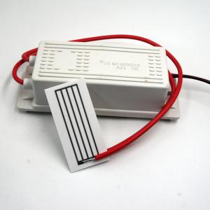 China 2g/H Ceramic Ozone Plates 12V Generatore Di Ozono With Transformer factory