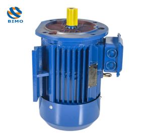 China B3 B5 B35 Mounting Motor 0.75kw-315kw Three Phase Cast Iron Electric Motor factory