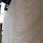 1220*2440mm Sapele Faced Plywood
