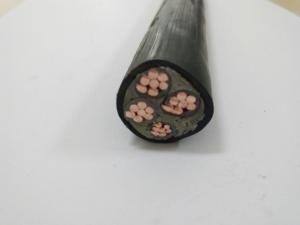 China N2xy 4x16mm² 4 Core Copper Conductor XLPE Insulated PVC Sheathed Cable factory