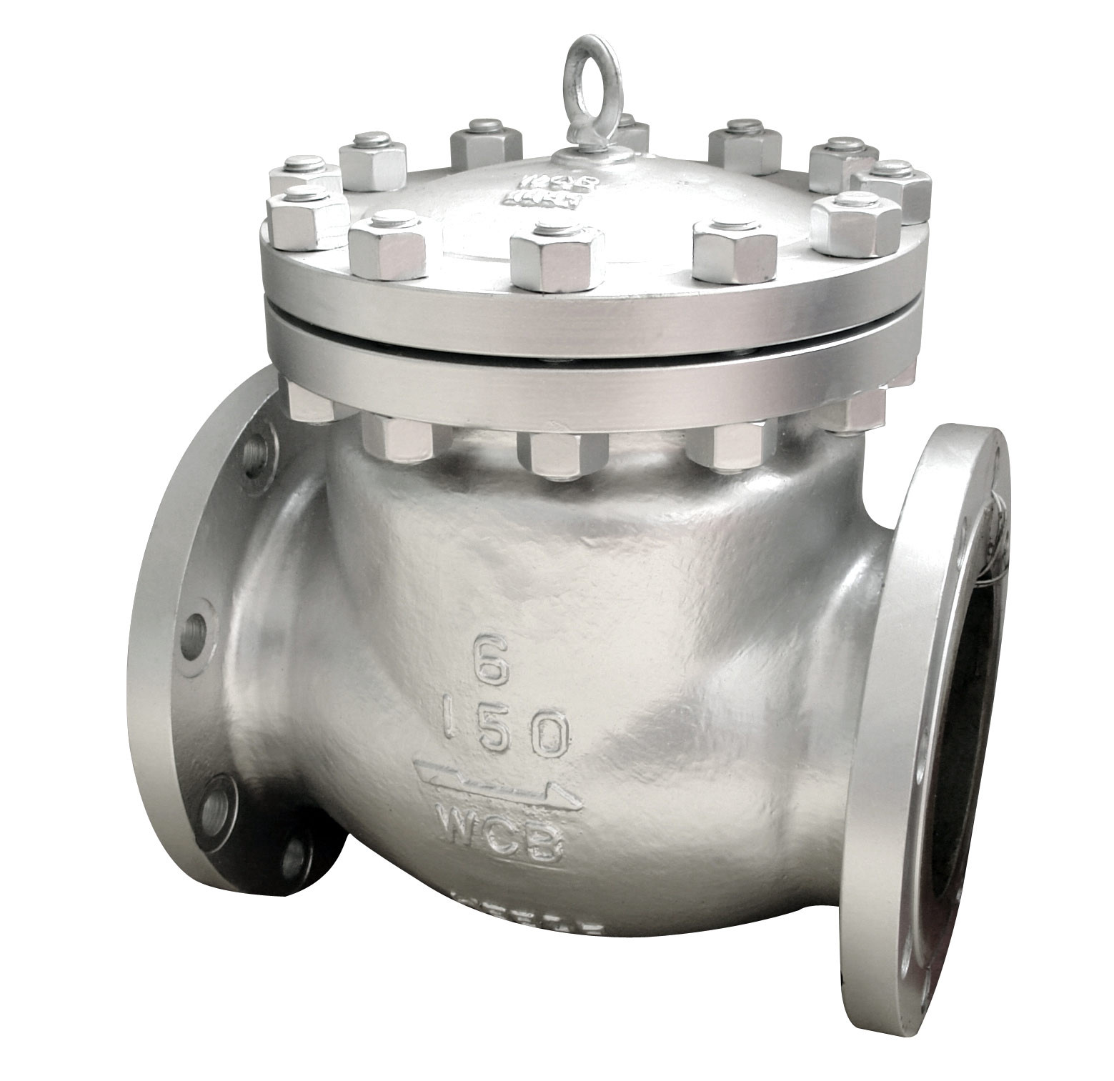 Nozzle Check Valve for Pipeline Valve with Stainless Steel Material
