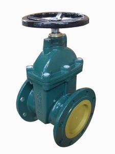China (BS) Cast Iron Gate Valve nor-rising stem factory