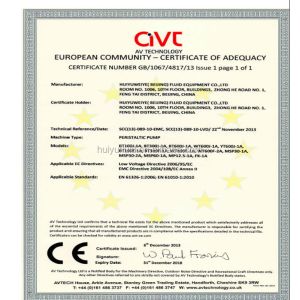 Long Lifetime Micro Piston Pump High Precision Plunger Pump