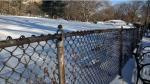 chain wire fence roll