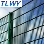 6/5/6mm Double Wire Welded Mesh Fence Powder Coated 50*150mm