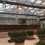 Single Span Black Out Greenhouse Light Deprivation Single Arch Tunnel Greenhouse