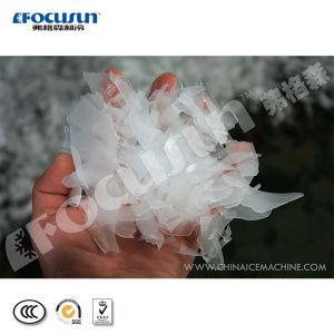 Industrial Cooling Solution 10T/Day Containerized Flake Ice Machine with Air