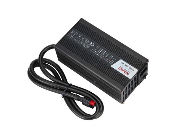 EMC-400 48V6A Aluminum lead acid/ lifepo4/lithium battery charger for golf cart,