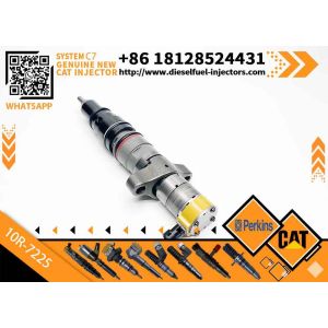 China 263-8218 387-9427 328-2585 10R-7225 243-4502 10R7255 387-9430 238-8901 241-3239 Diesel Fuel Injector for C7 Engine factory