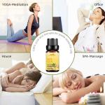 10ml Organic Ginger Essential Oil Hair Growth MSDS OEM For Hair Loss Treatment