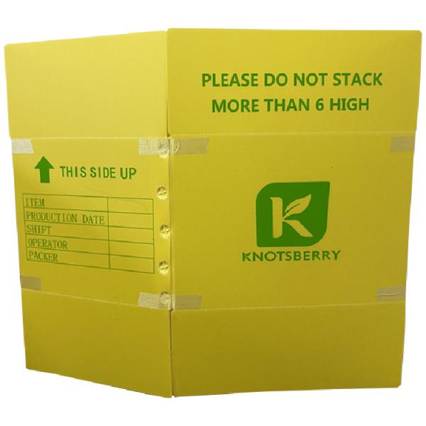 China PP Corrugated Plastic Box The Eco-Friendly Alternative to Traditional Materials factory