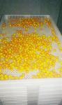 Anti High Temprature Plastic Drying Trays Pe Material For Drying Freezing Baking