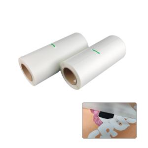 China 100M Per Roll DTF Film Seconds-Peeling PET Film 30 33 60Cm Heat Transfer PET Film For T Shirt factory
