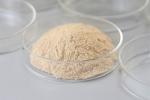 Thermostable Alkaline Protease , Detergent Enzyme, 200000-300000U/G