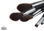 Eco Friendly Travel Private Label Makeup Brushes with Lip Brush and Concealer