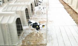China 50kg PE Plastic Calf Shelters factory