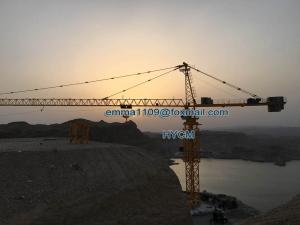 China qtz250 Topkit Tower Crane Type Of Bridge Crane 75M Jib 48m Working Height factory