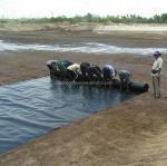 Professional Geomembrane for Fish Ponds and Landfill Sites Length 50-200m Width