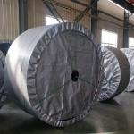 1300mm NN300 Whole Core Fire Retardant Conveyor Belt