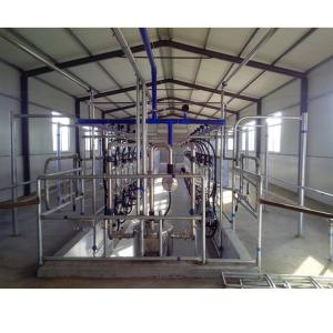 China SS304 Herringbone Parlour Milking Systems Dairy Cow Equipment factory