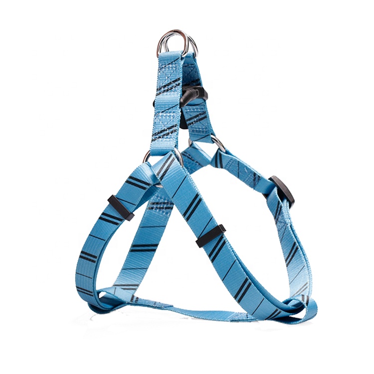Led Luminating Pet Traction Rope Rechargeable Dog Harness Leash