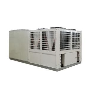 Packaged Rooftop Air Conditioning Units With Purification Function