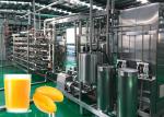 SUS304 / 316L Mango Juice Processing Machine 3T/H One Stop Service