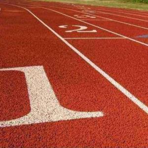 China 24 COLORS Synthetic Athletic Track Rubber Indoor Running Track Anti Skidding factory