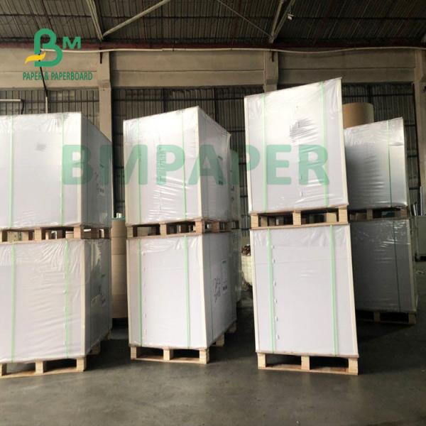 Water Resistance 200g + 20g PE Cup Base Paper Folding Resistance Water Resistance 200g + 20g PE Cup Base Paper Folding Resistance