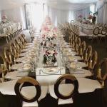 wedding chair, stainless steel chair, restaurant chair,dining chair, mordern