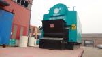 Horizontal Wood Fired Steam Boiler Low Pollution Combustion Automatic And Chain