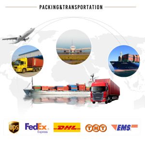 Advanced Automatic LZ-150 Stainless Steel Electric Ice Cube Maker for 24Hours