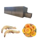 Mango Ding Tunnel 10 Minute Quick Freezing Machine