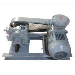 Electric Motor-Powered Standard Propane Vane Pump for Standard Fuel Transfer