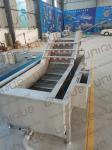 Industrial Fruit and Vegetable Bubble Washing Machine for Lemon Pineapple